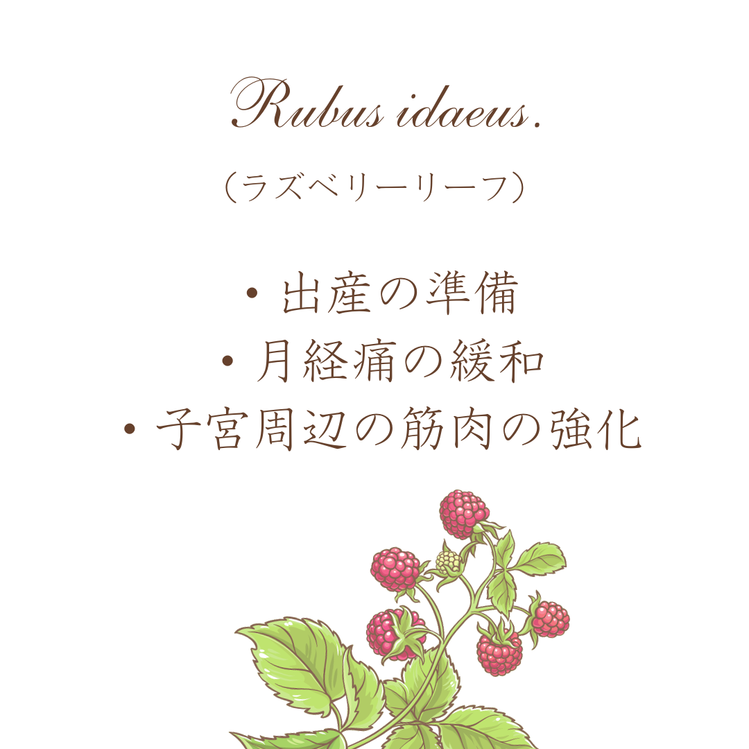 ウーマンズデイティー
