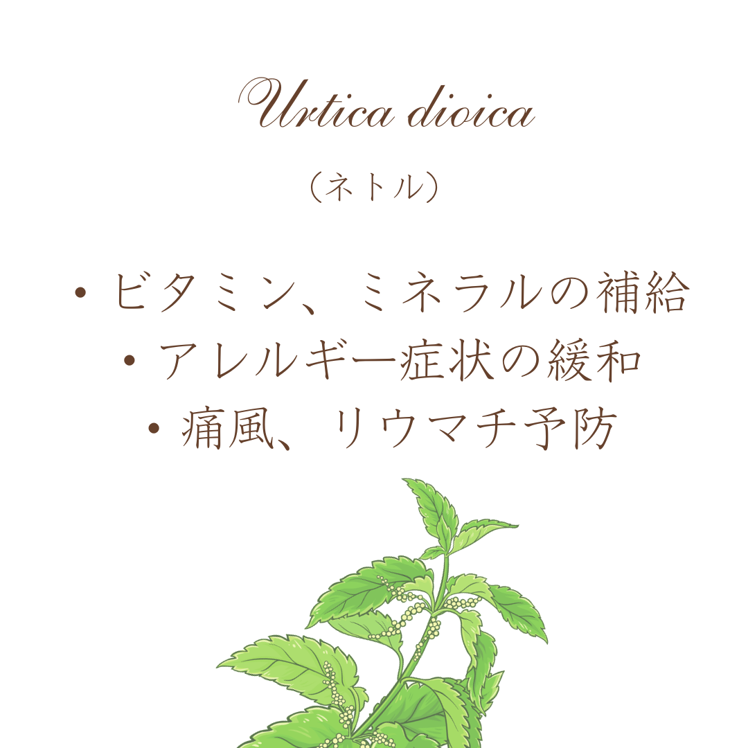 ウーマンズデイティー