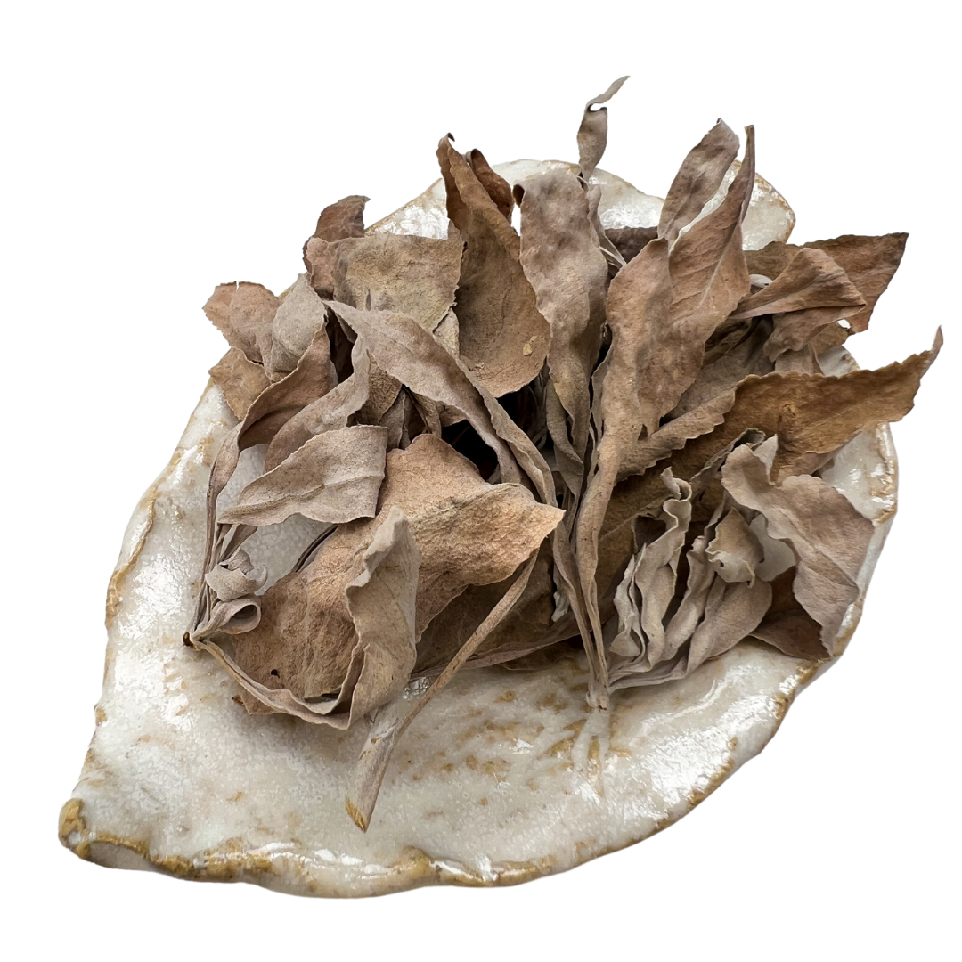 ホワイトセージ