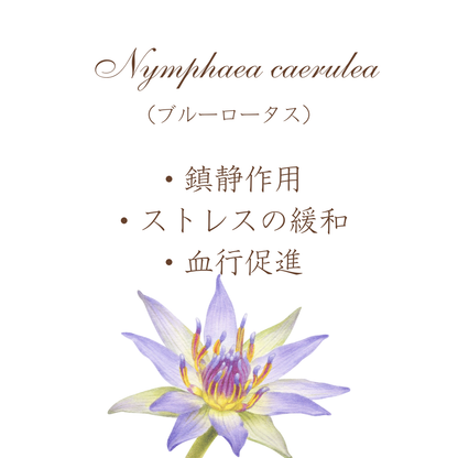 『秋ファイアーサイダー』作り用ハーブ＆スパイスセット